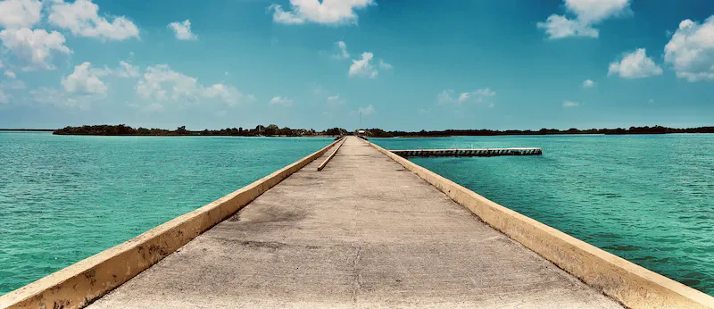 Proper hand hygiene is critical for our health and well-being, and this blog post explores the prevalence of germs and infections, the role of hands in spreading infections, and the importance of washing hands properly. /revolutionizing-malaria-control-innovative-solutions-for-mosquitoes/revolutionizing-malaria-control-innovative-solutions-for-mosquitoes.webp